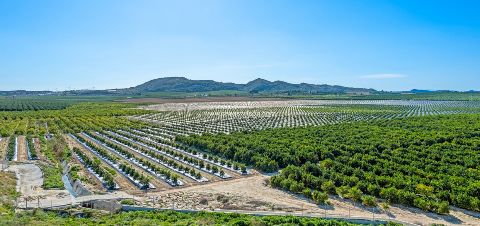 Sale - Apartment - Algorfa - Inland