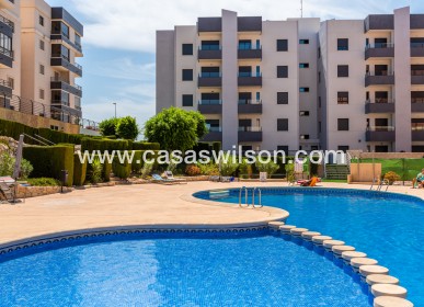 Sale - Apartment - San Miguel de Salinas - Inland