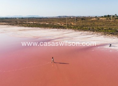 New Build - Apartment - Torrevieja - Playa de los Locos