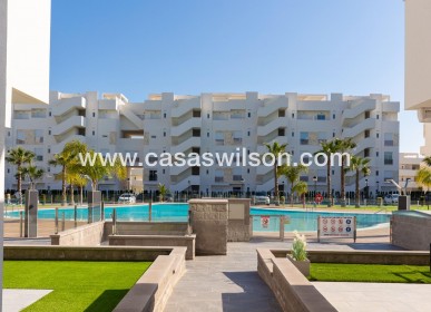 Sale - Appartement - Guardamar del Segura - EL RASO