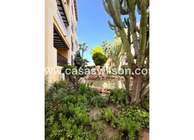 Sale - Appartement - Torrevieja - Los Frutales