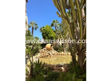 Sale - Appartement - Torrevieja - Los Frutales