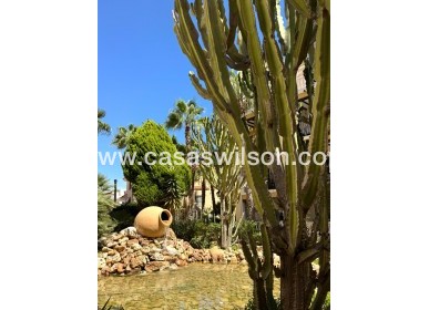 Sale - Appartement - Torrevieja - Los Frutales