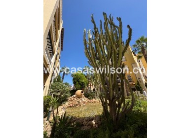 Sale - Appartement - Torrevieja - Los Frutales
