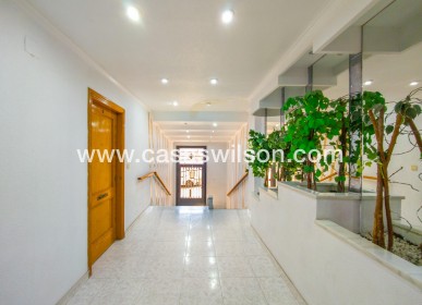 Sale - Appartement - Torrevieja - Estacion De Autobuses