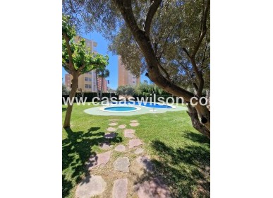 Sale - Apartment - Guardamar del Segura - Costa Blanca