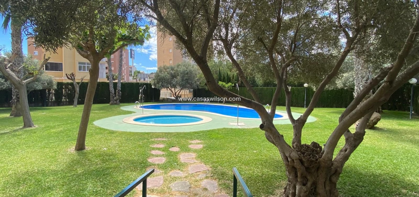 Sale - Apartment - Guardamar del Segura - Costa Blanca