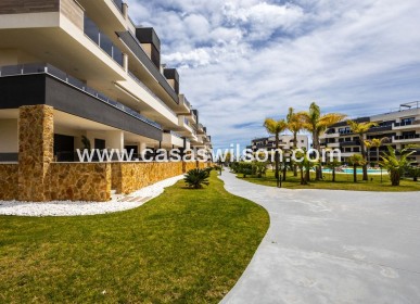 Venta - Apartamento - Playa Flamenca