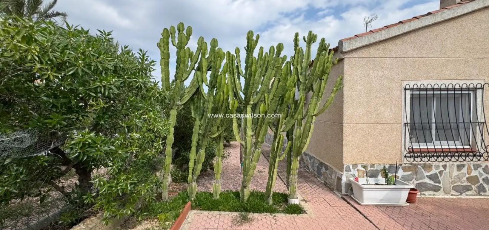 Venta - DETACHED_VILLA - Ciudad Quesada