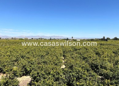 Sale - Apartment - Benejúzar