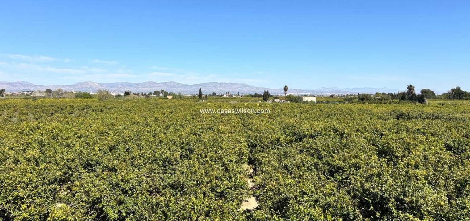 Sale - Apartment - Benejúzar