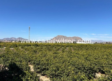 Sale - Apartment - Benejúzar