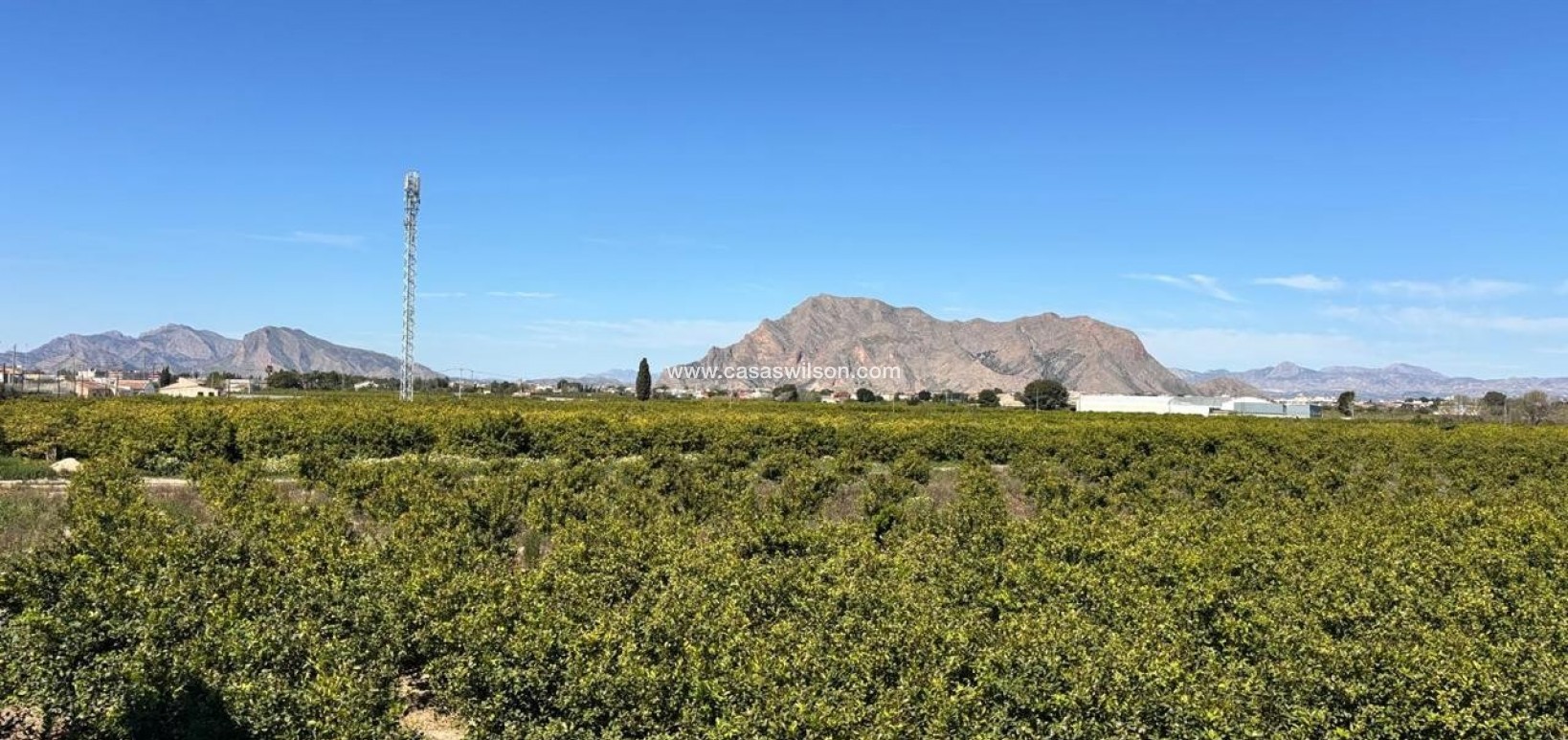 Sale - Apartment - Benejúzar