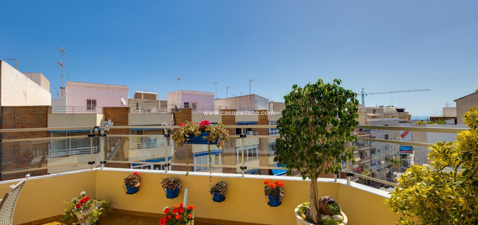 Sale - Apartment - Torrevieja - Centro