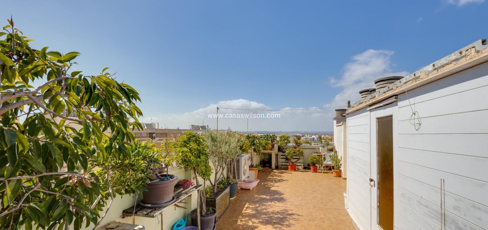 Sale - Apartment - Torrevieja - Centro