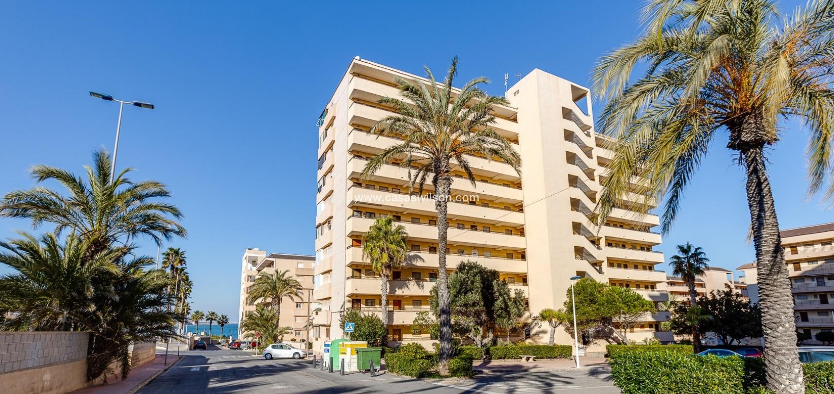 Venta - Apartamento - Torrevieja - Cabo Cervera