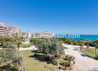 Venta - Apartamento - Torrevieja - Cabo Cervera