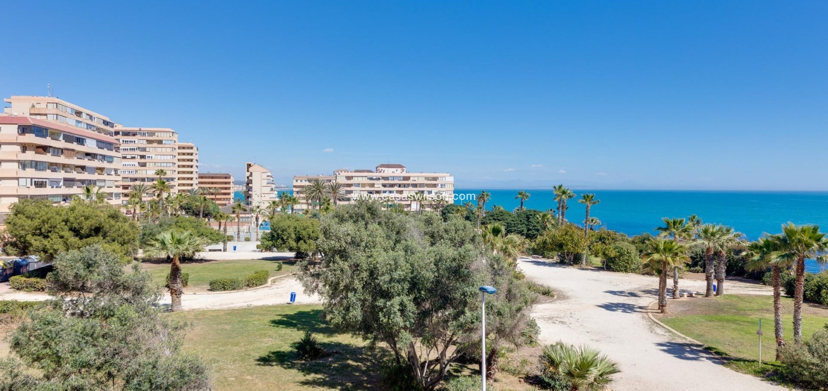Venta - Apartamento - Torrevieja - Cabo Cervera