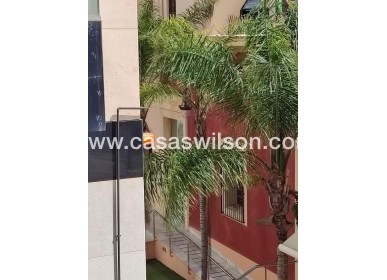 Venta - Apartamento - Orihuela - Zona Centro