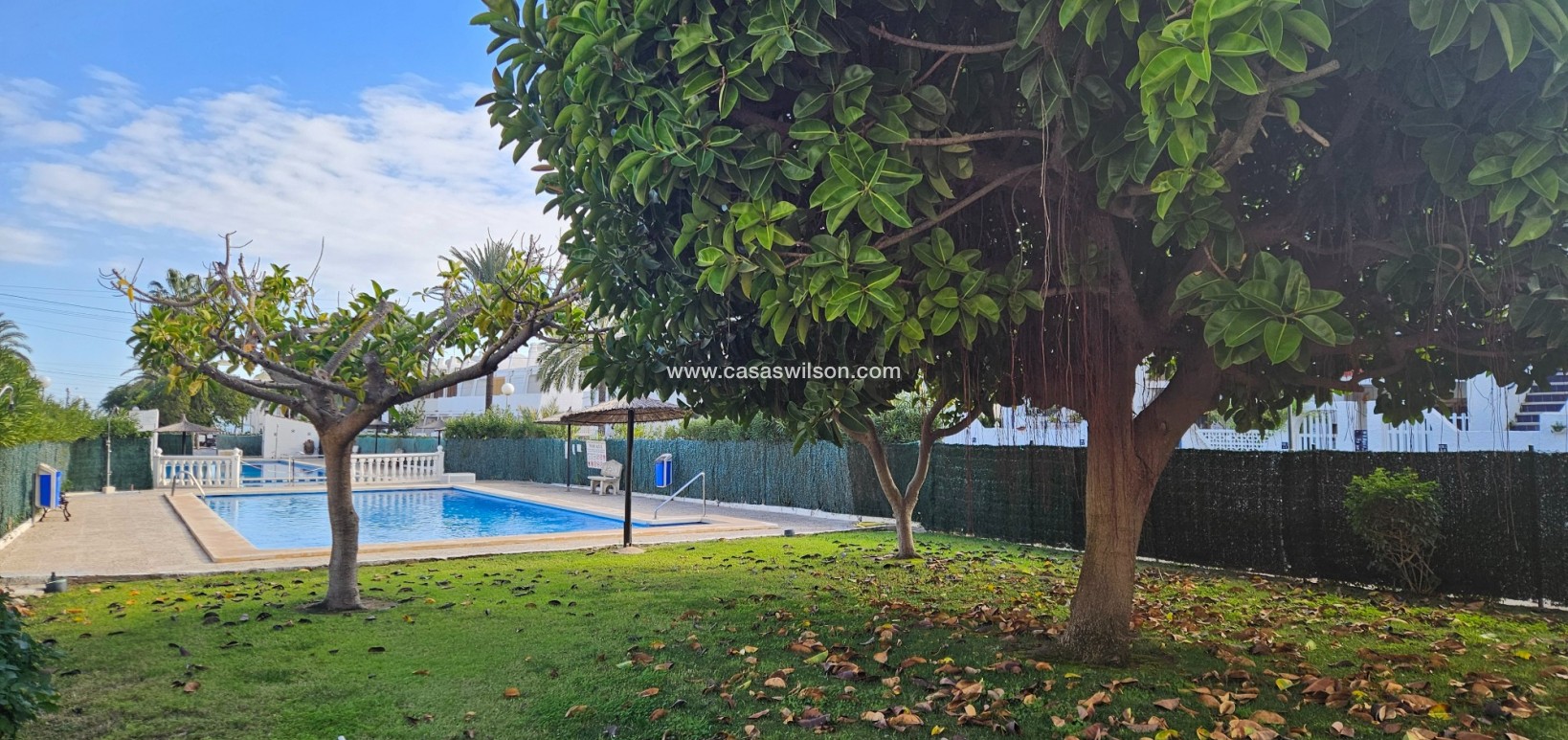 Sale - Apartment - Torrevieja - Costa Blanca