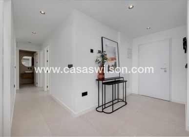 New Build - Villa - Torrevieja - Sector 25