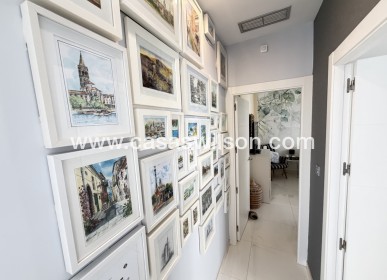 Bestaande bouw - Villa - Villamartin - Villamartín