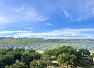 Venta - Apartamento - Orihuela Costa - Costa Blanca