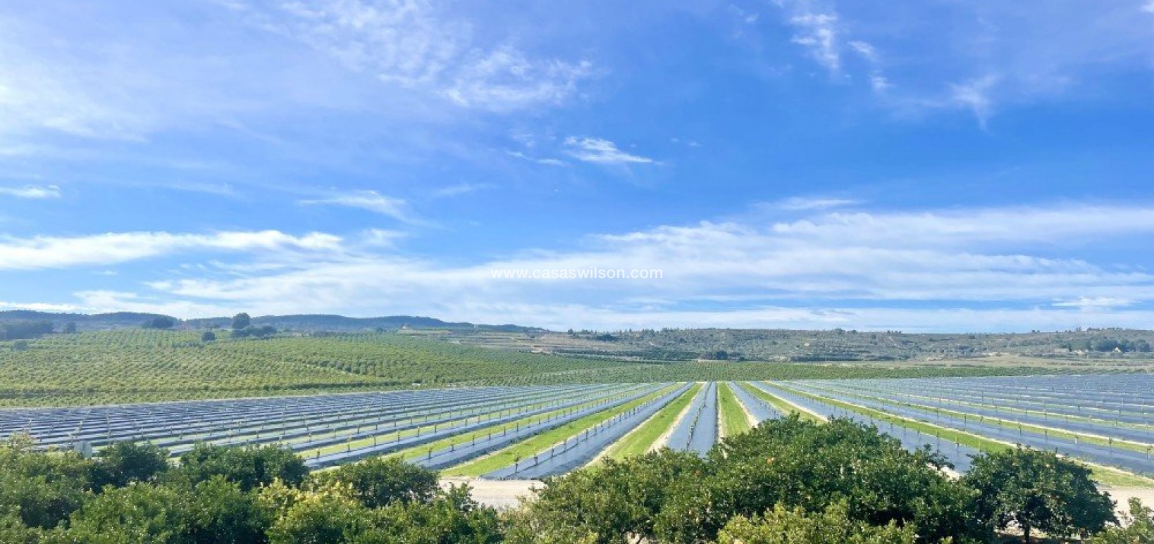 Venta - Apartamento - Orihuela Costa - Costa Blanca