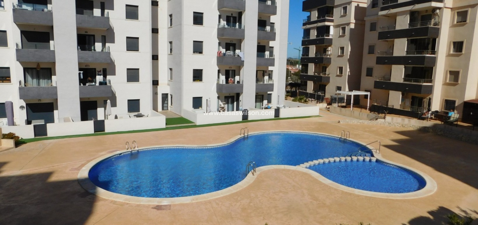 Sale - Apartment - San Miguel de Salinas - San Miguel Salinas