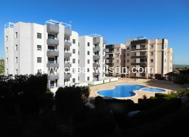 Sale - Apartment - San Miguel de Salinas - San Miguel Salinas