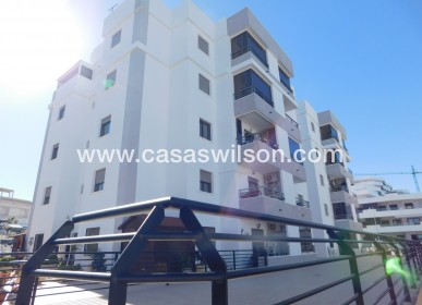 Sale - Apartment - San Miguel de Salinas - San Miguel Salinas
