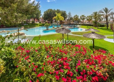 Venta - Adosado - Gran Alacant - Monte Faro-altomar