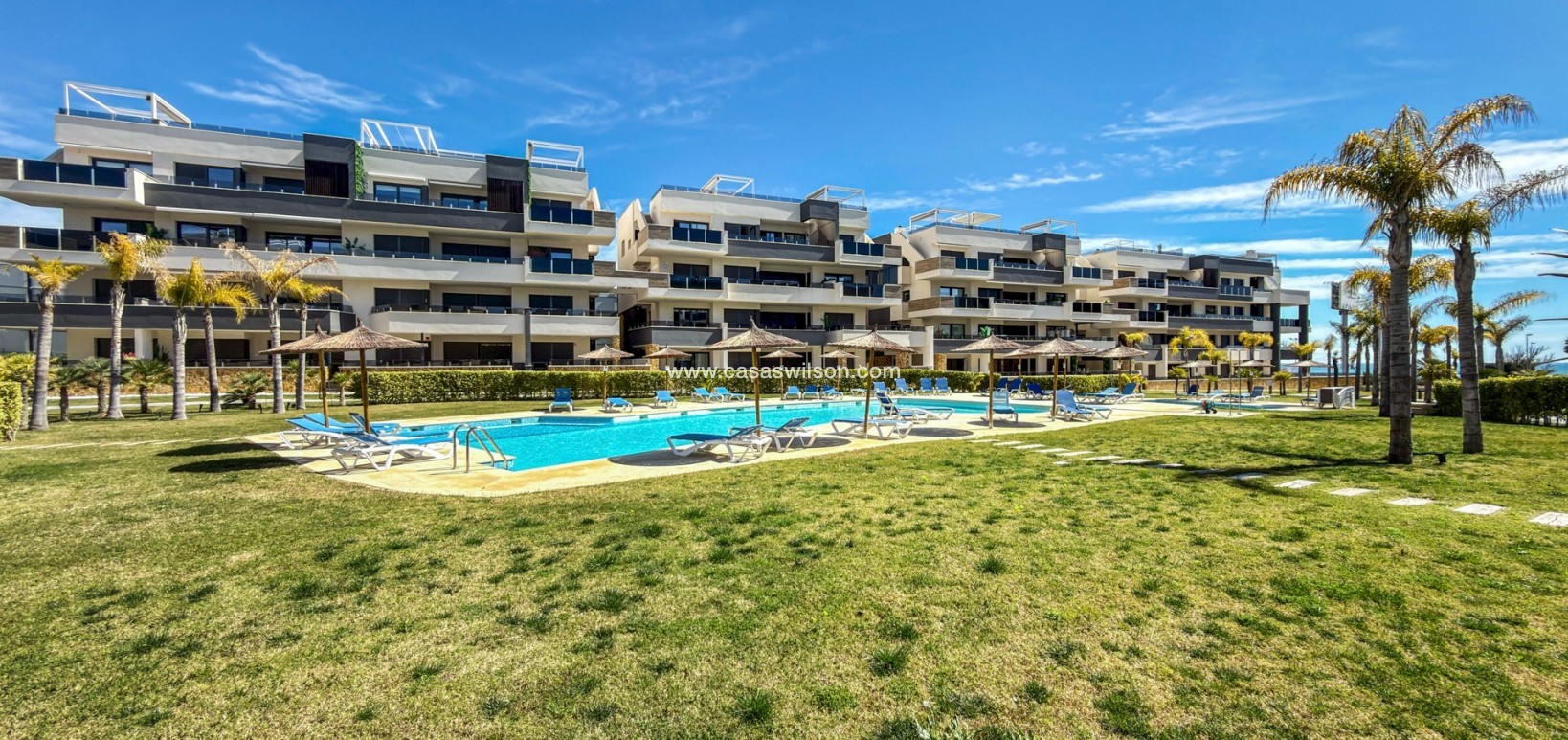 Venta - Apartamento - Orihuela Costa - Playa Flamenca