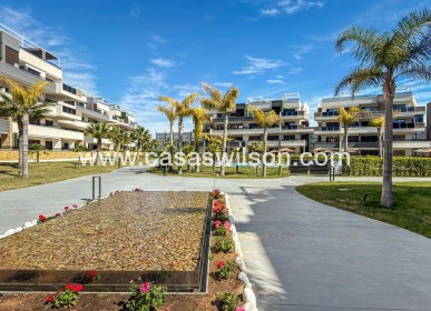 Venta - Apartamento - Orihuela Costa - Playa Flamenca