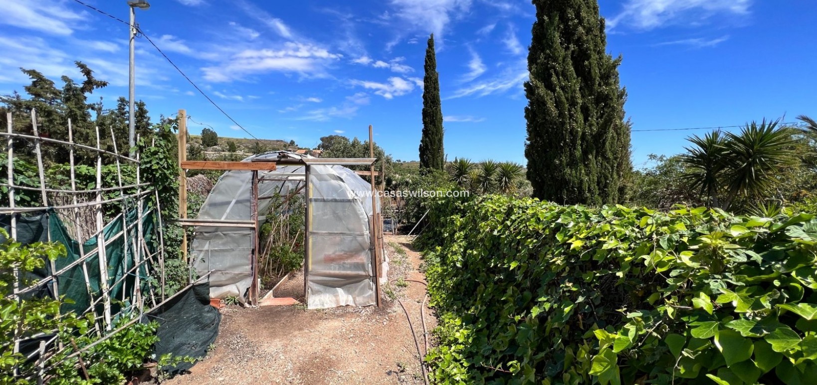 Sale - Country Property/Finca - Cartagena