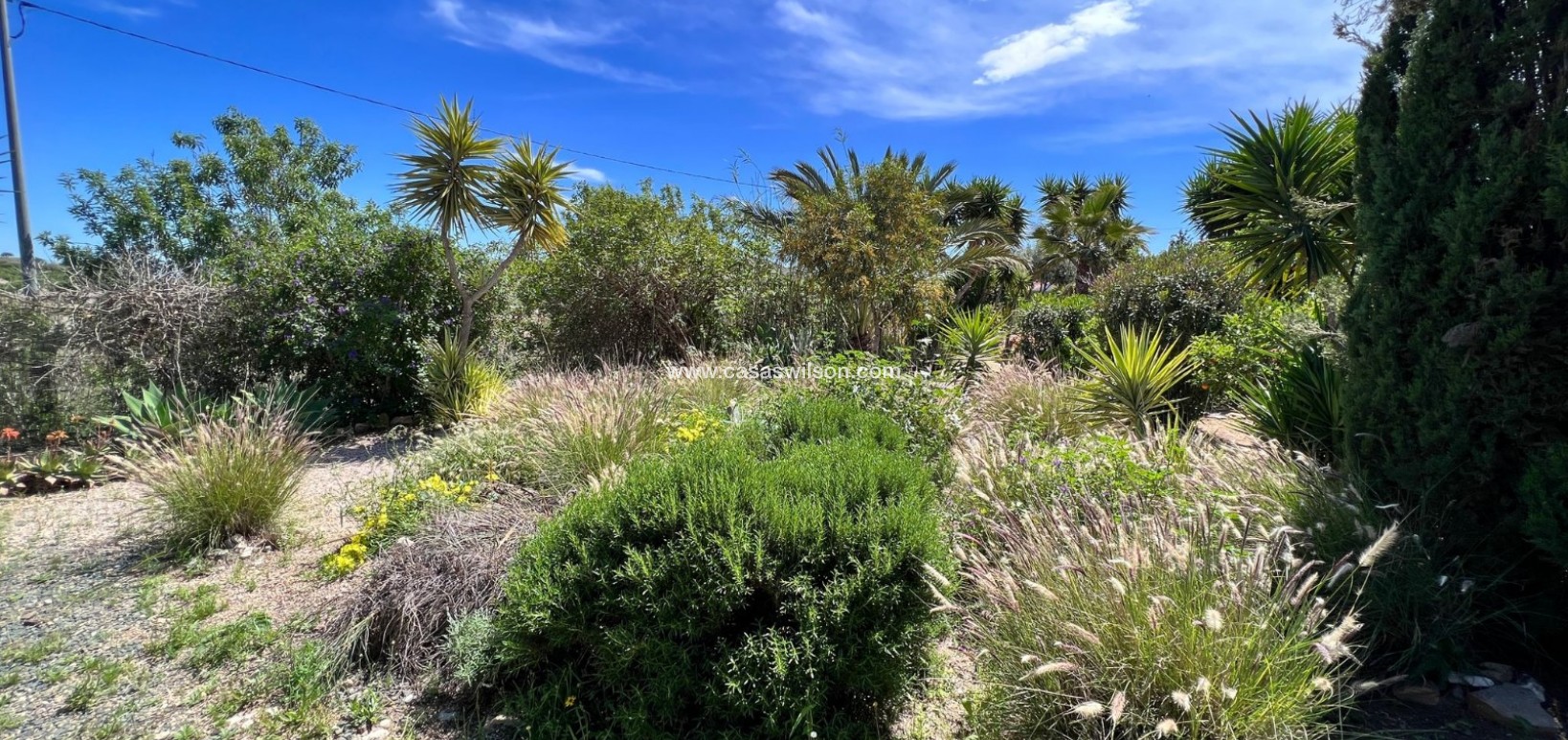 Sale - Country Property/Finca - Cartagena