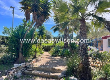 Sale - Country Property/Finca - Cartagena