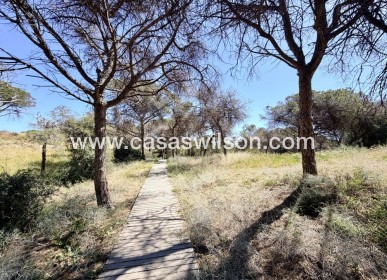 Venta - Apartamento - Guardamar del Segura - Costa Blanca