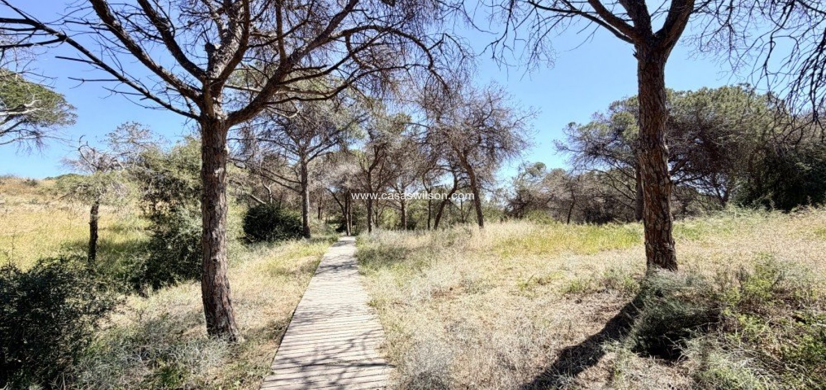 Venta - Apartamento - Guardamar del Segura - Costa Blanca