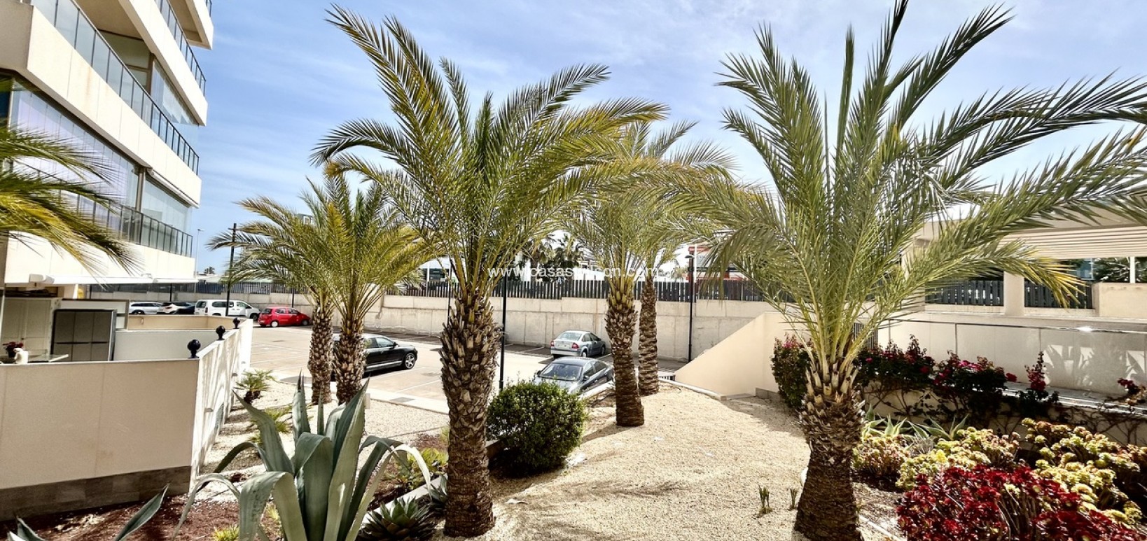 Sale - Apartment - Los Dolses - Inland