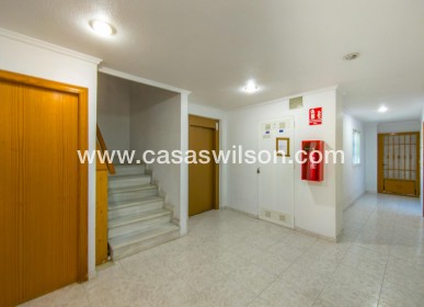 Venta - Apartamento - Torrevieja - Estacion De Autobuses