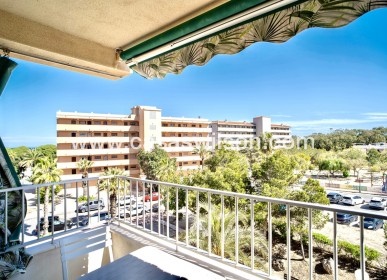 Sale - Apartment - Guardamar del Segura - Costa Blanca