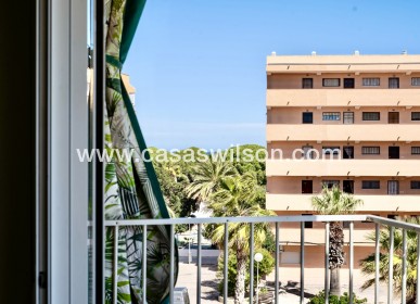 Sale - Apartment - Guardamar del Segura - Costa Blanca