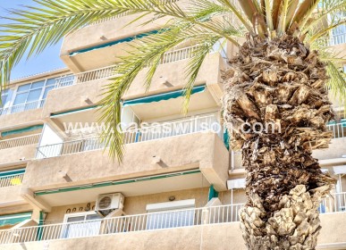 Sale - Apartment - Guardamar del Segura - Costa Blanca