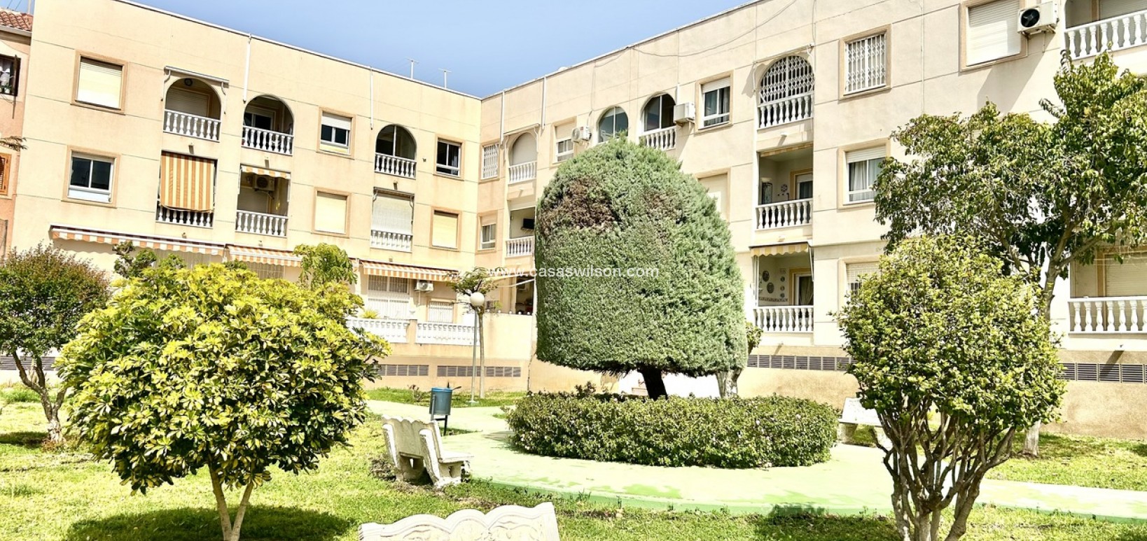 Venta - Apartamento - Torrevieja - Costa Blanca