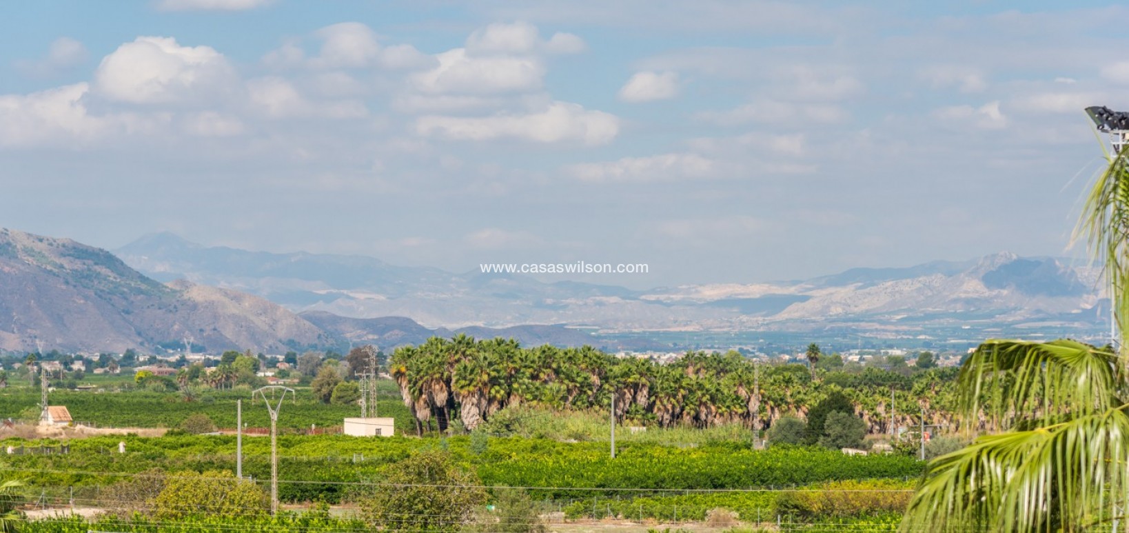 Sale - Appartement - Jacarilla