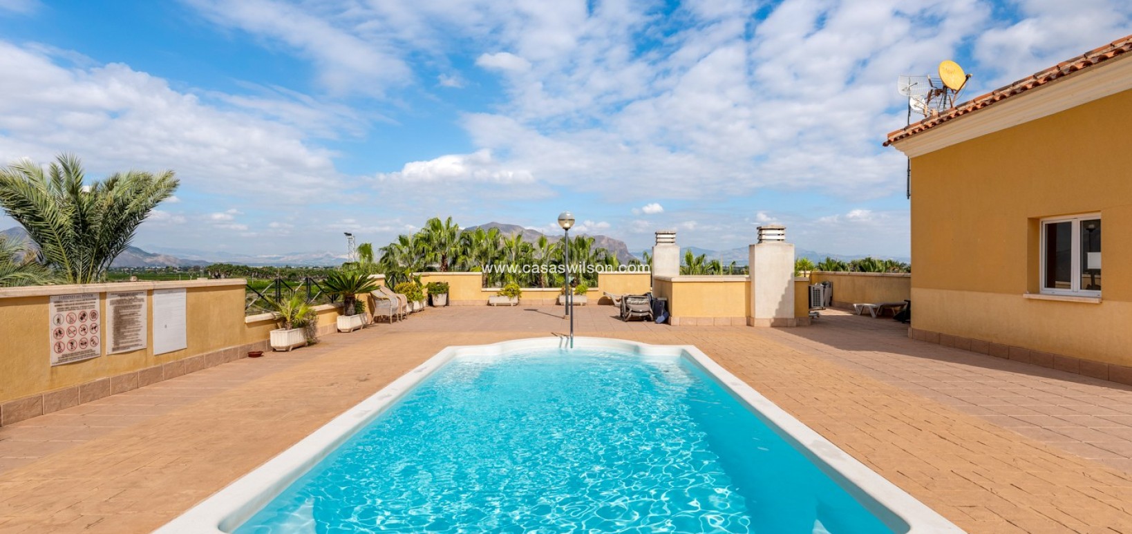 Sale - Appartement - Jacarilla