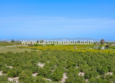 Venta - Apartamento - Daya Nueva - Costa Blanca