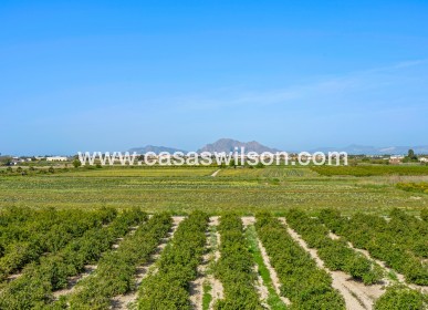 Venta - Apartamento - Daya Nueva - Costa Blanca