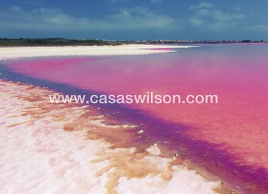 Venta - Apartamento - Villamartin - Costa Blanca